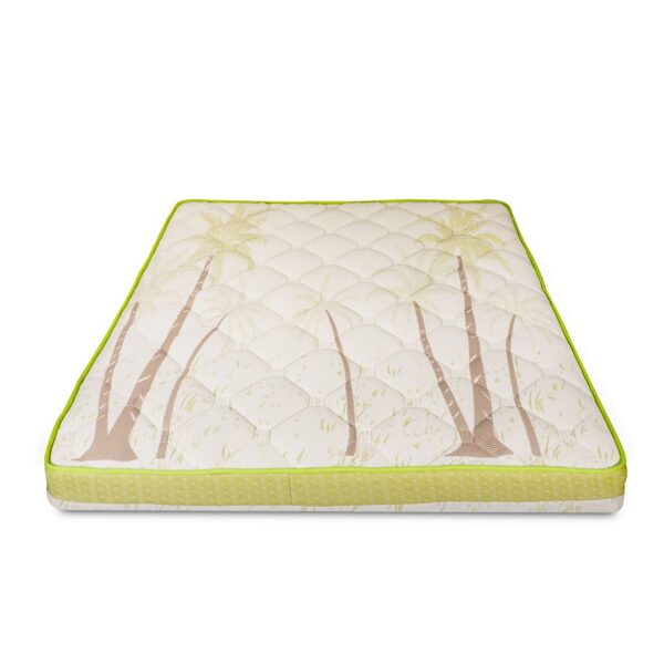 Nestin Latex Coir Ortho Mattress