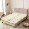 Nestin Latex Coir Ortho Mattress