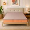 Plush Foam Mattress