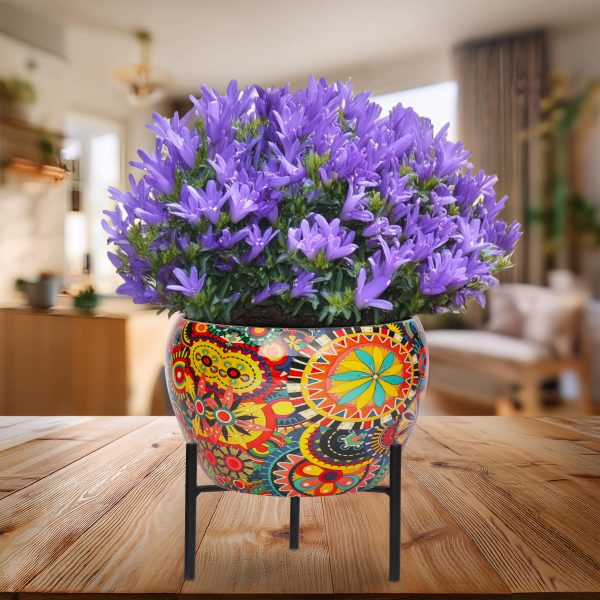 Printed Flower Pot