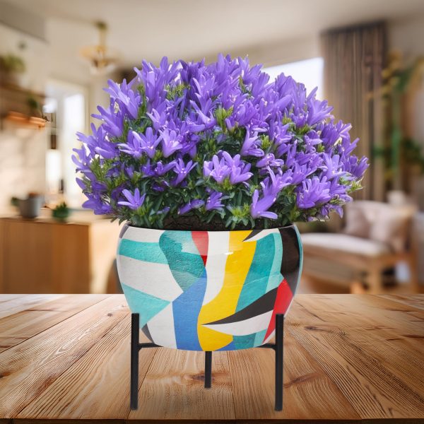 Printed Flower Pot