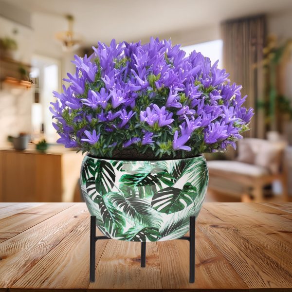 Printed Flower Pot