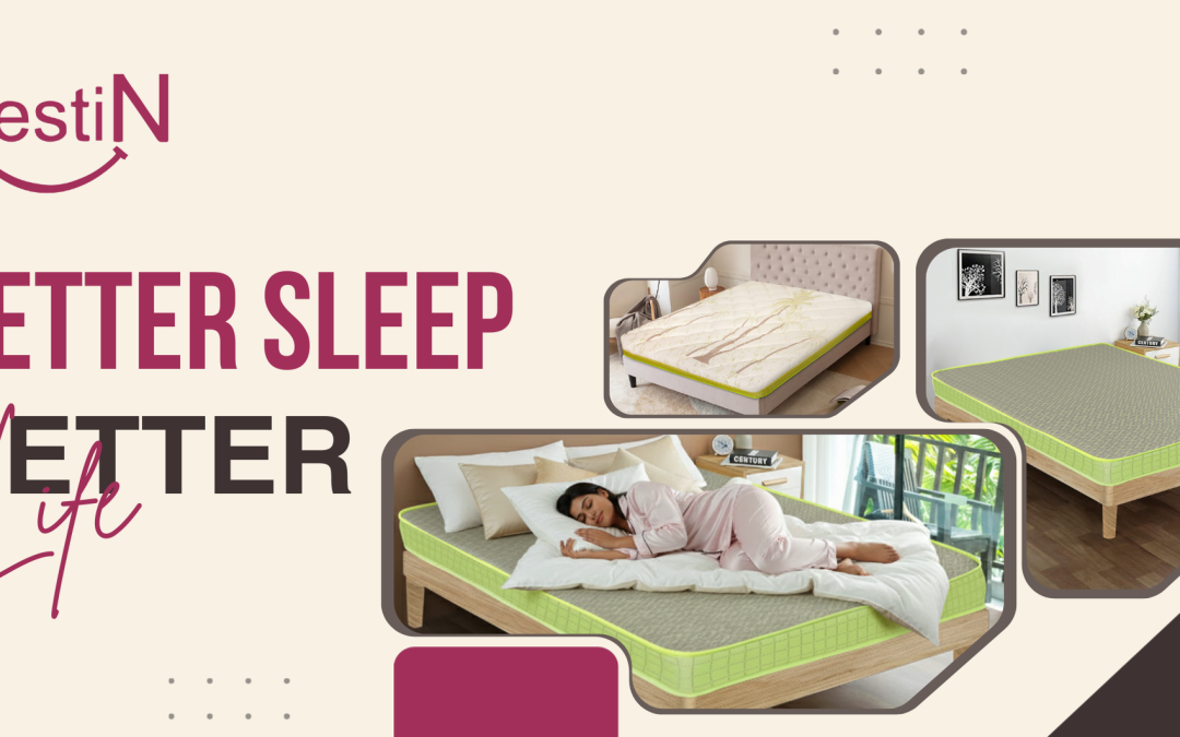 Better Sleep, Better Life: Sleep Science Explained