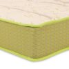 Nestin - latex coir ortho mattress