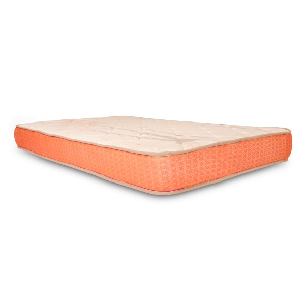 Nestin - memory coir ortho matress