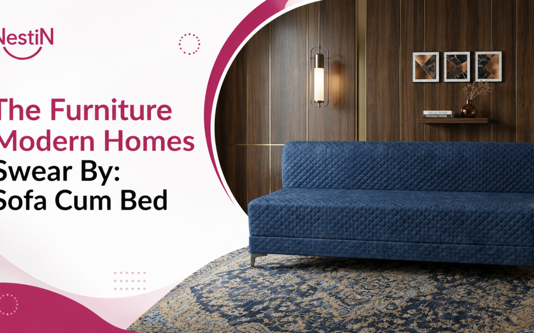 The Furniture Modern Homes Swear By: Sofa Cum Bed